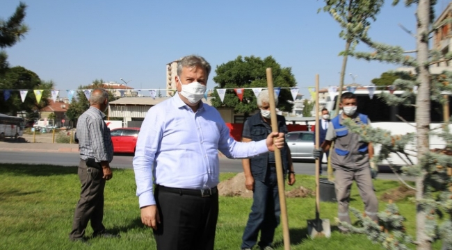 MELİKGAZİ'DE 170 AĞAÇ TOPRAKLA BULUŞTU