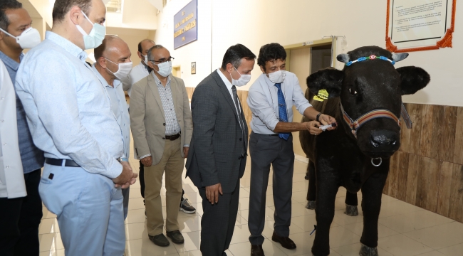 MUSTAFA ÇALIŞ VETERİNERLİK FAKÜLTESİ SİMÜLATÖRLERİNİ İNCELEDİ