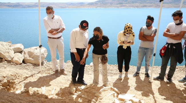 Yamula Barajı kıyısında 7,5 milyon yıllık yeni fosiller bulundu