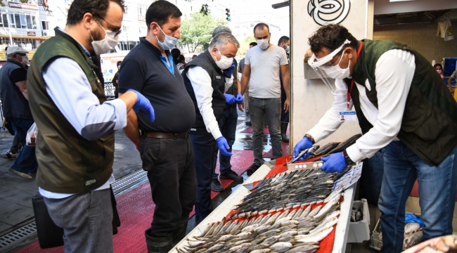 Yapılan denetimlerde 50 kilo balığa el konuldu