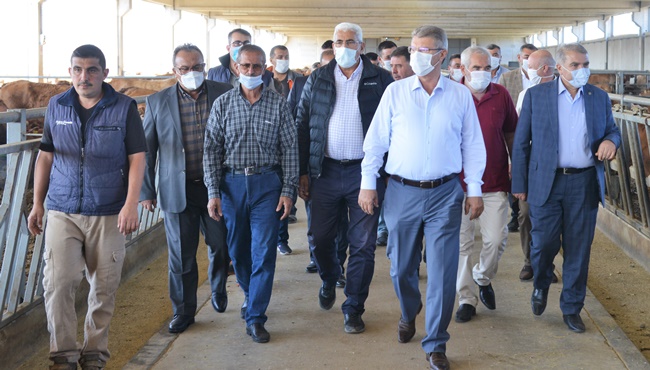 AKAY: 'ÇİFTÇİYE HAYVANCILIK NOKTASINDA DA DESTEK VERECEĞİZ'