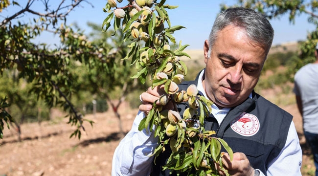AMACIMIZ TEKNİK TARIM İLE KATMA DEĞERİ YÜKSEK ÜRÜNLER ÜRETMEK