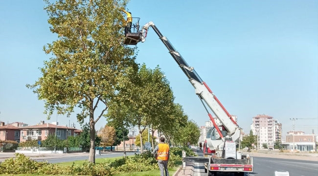 BÜYÜKŞEHİR'DEN SONBAHAR ÇALIŞMASI
