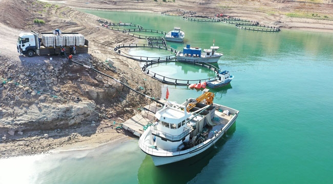 KAYSERİ'DE 1400 TON SOMON ÜRETİLDİ