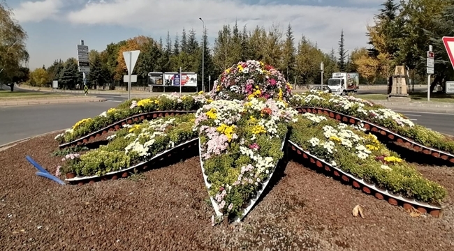 KAYSERİ'DE SONBAHAR GÜZELLİĞİ