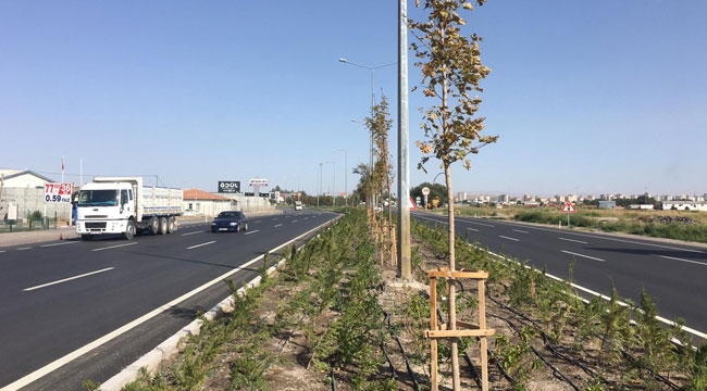 KAYSERİ'NİN BATI GİRİŞİNE 62 BİN FİDAN