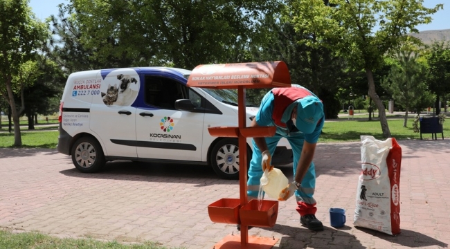 'KÜÇÜK DOSTLAR HER ZAMAN DEĞERLİ'