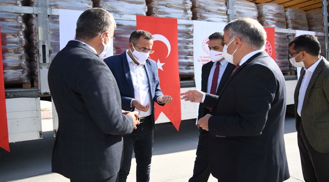 MACAR FİĞ TOHUMU DAĞITILDI