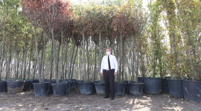 MELİKGAZİ'DE “GELECEĞE NEFES” SEFERBERLİĞİNE DEVAM