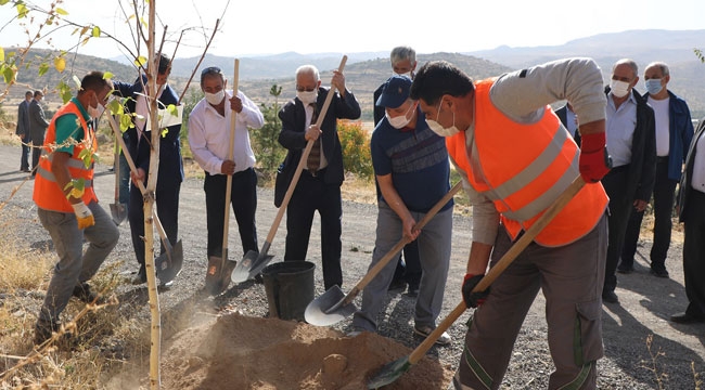 MUHTARLARDAN ALİ DAĞI'NA AĞAÇ
