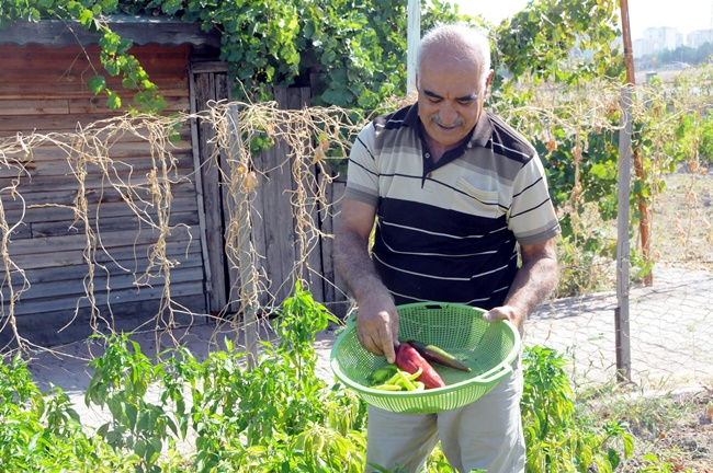 SALGIN GÜNLERİNİ HOBİ BAHÇESİNDE GEÇİRİYORLAR