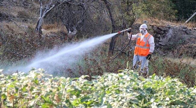 TALAS'TA HAŞARET İLAÇLAMASI