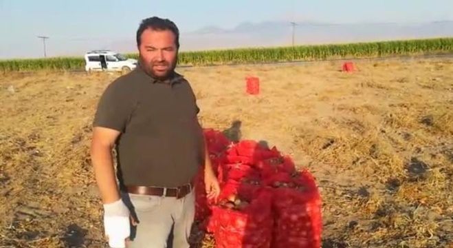 TARLA FİYATI 1.5 TL