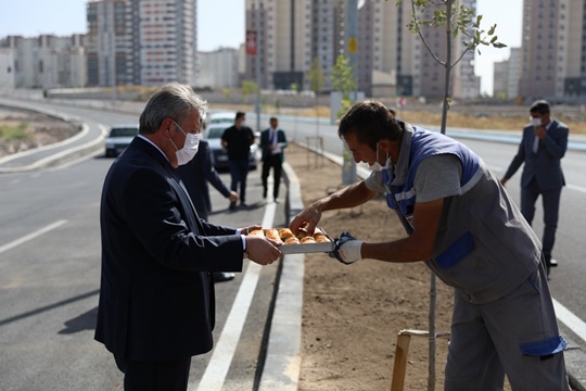 YENİLENEN YOLLAR AĞAÇLANDIRILIYOR