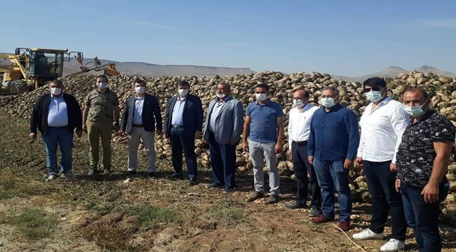 YEŞİLHİSAR'DA PANCAR HASADI