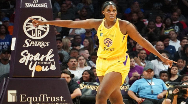 2 METRELİK KALANİ BROWN BELLONA KAYSERİ'DE