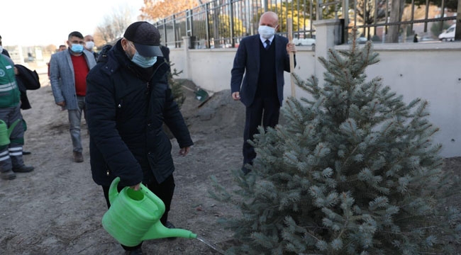BAŞKAN ÇOLAKBAYRAKDAR ÖĞRETMENLERLE BERABER AĞAÇ DİKTİ