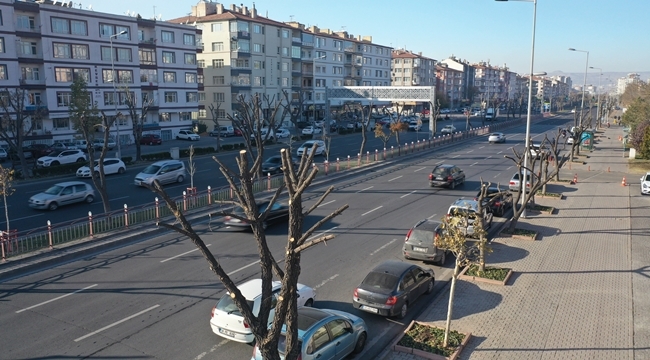 BÜYÜKŞEHİR AĞAÇLARA KIŞ BAKIMI YAPTI