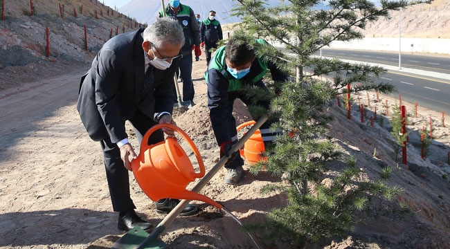BÜYÜKŞEHİR'DEN 100 BİN FİDAN