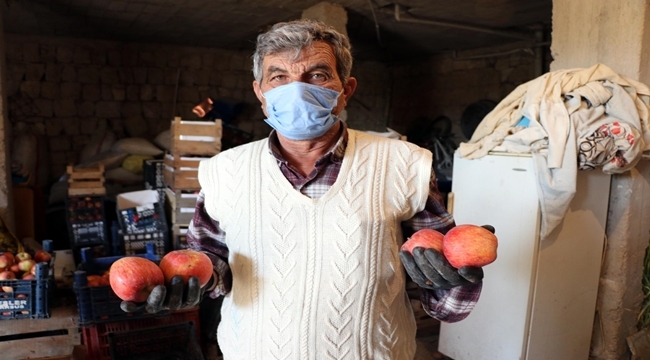 ELMA ÜRETİCİSİ: 'ŞİKAYETÇİ OLACAĞIM'