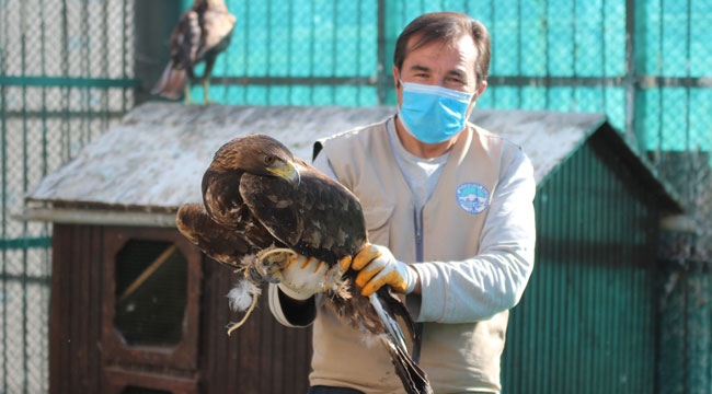 HAYVANAT BAHÇESİNDE KIŞ HAZIRLIĞINA BAŞLANDI