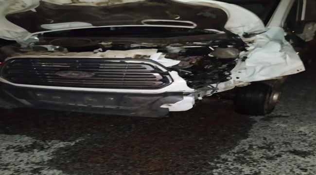 KAMYONETİN ÇARPTIĞI 2 BÜYÜKBAŞ HAYVAN TELEF OLDU