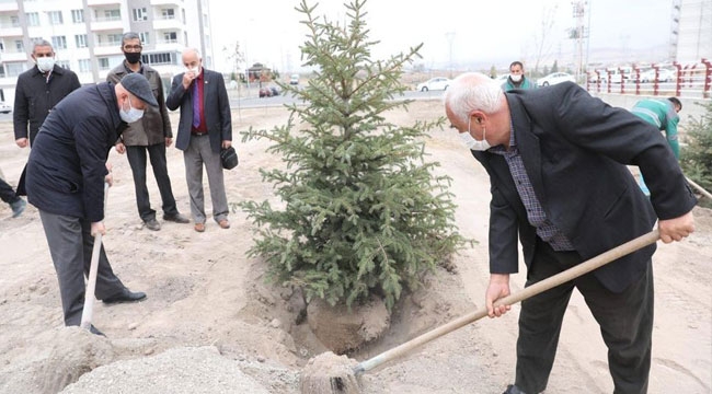 KOCASİNAN'DA AĞAÇ DİKEREK MESAİYE BAŞLANDI
