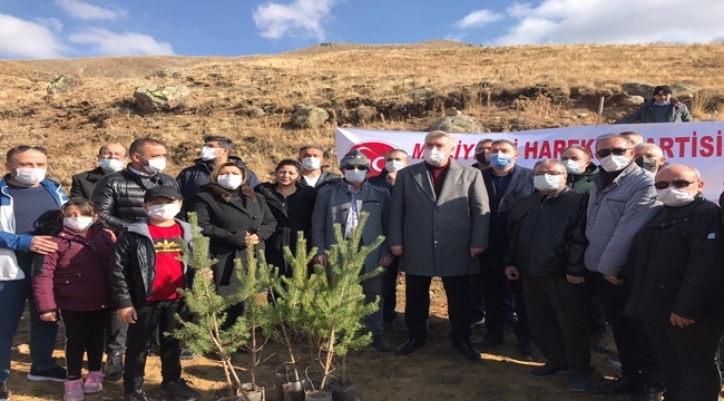 MHP ŞEHİTLER İÇİN 406 FİDAN DİKTİ