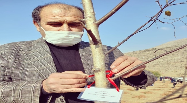 MHP YAHYALI'DAN AĞAÇLANDIRMAYA DESTEK