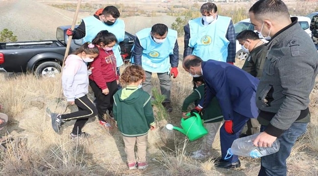 YEŞİLHİSAR'DA FİDAN DİKİMİ GERÇEKLEŞTİRİLDİ