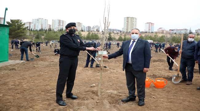 BAŞKAN YALÇIN ŞEHİTLER FİDANLIĞINA AĞAÇ DİKTİ