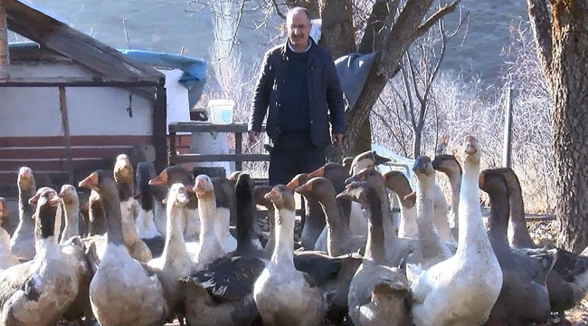 HOBİ OLARAK BAŞLADI, ÇİFTLİK KURDU