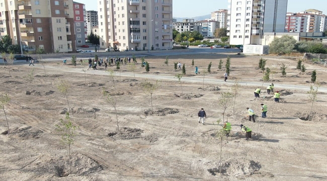KOCASİNAN'DAN 110 YERE 100 BİN AĞAÇ