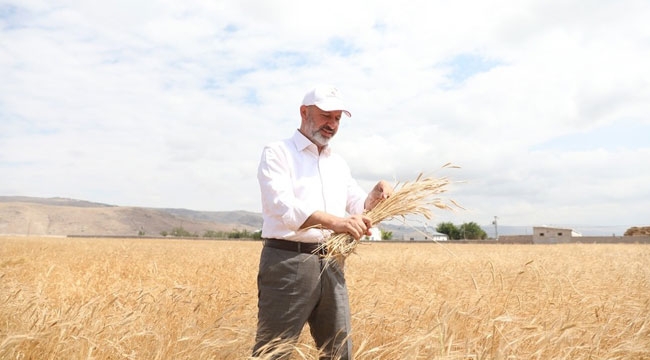 KOCASİNAN'IN YERLİ VE MİLLİ TOHUM HAMLESİ TAKDİR EDİLİYOR
