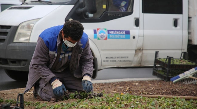MELİKGAZİ'DE ÇİÇEK AÇTI