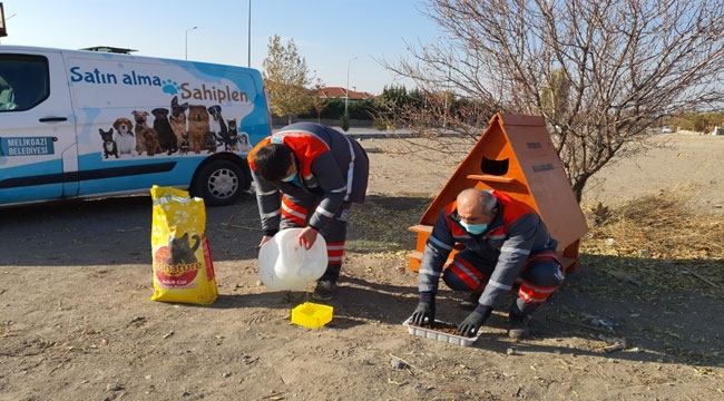 MELİKGAZİ KISITLAMALARDA SOKAK HAYVANLARINI UNUTMUYOR