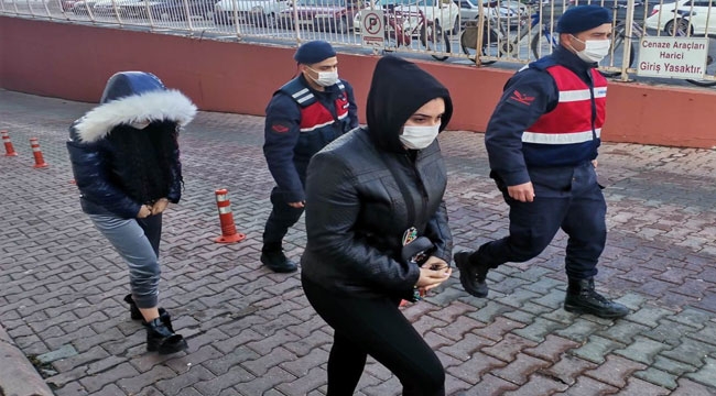 PİTBULL HIRSIZLARI YAKALANDI