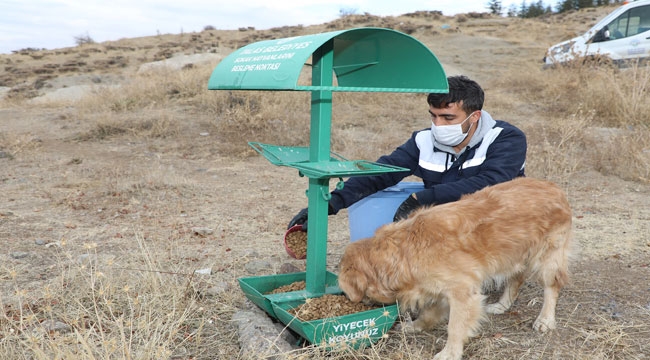 TALAS'TAN TÜRKİYE'YE ÖRNEK ÇALIŞMA