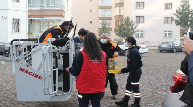 YANGINDAN KURTARILIRKEN KUŞUNU UNUTMADI