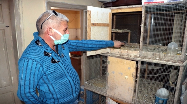 100 GÜVERCİNİ ÇALINDI