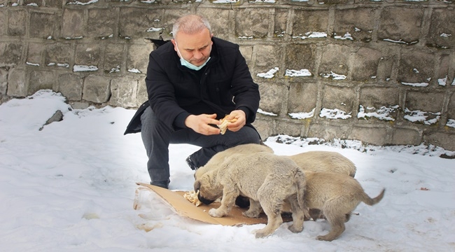 AYHAN ARSLAN'DAN SOKAK HAYVANLARINA YİYECEK