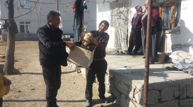 KIZIL ŞAHİN'E GEREKLİ BAKIM VE TEDAVİ YAPILACAK