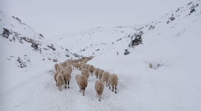 PINARBAŞI BELEDİYESİ EKİPLERİ KURTARDI
