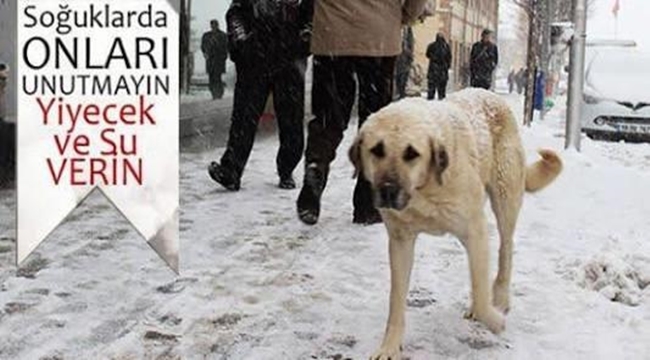 PINARBAŞI'DAN ÖRNEK DAVRANIŞ