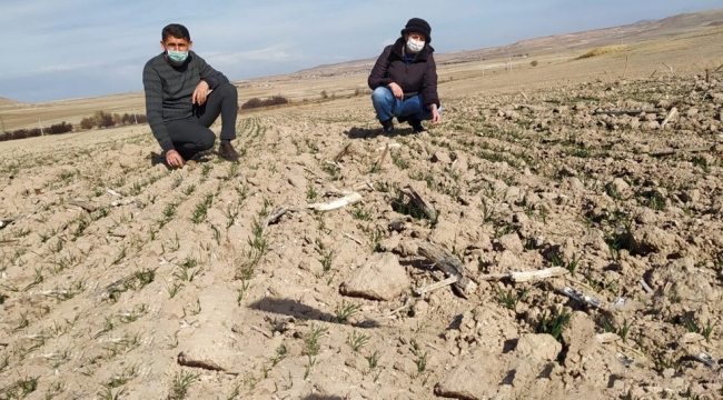 BAKANLIKTAN YERLİ TOHUM DESTEĞİ