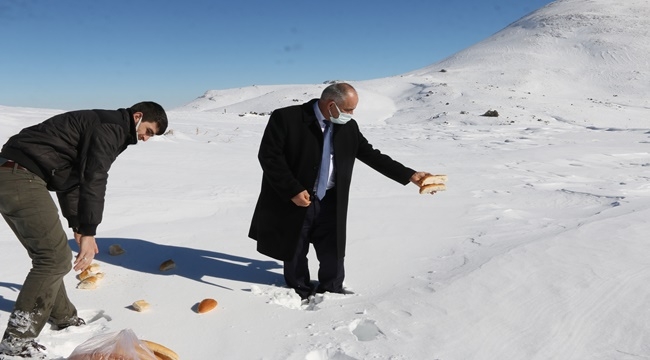 YAHYALI, YABAN HAYVANLARINI YEMLEDİ