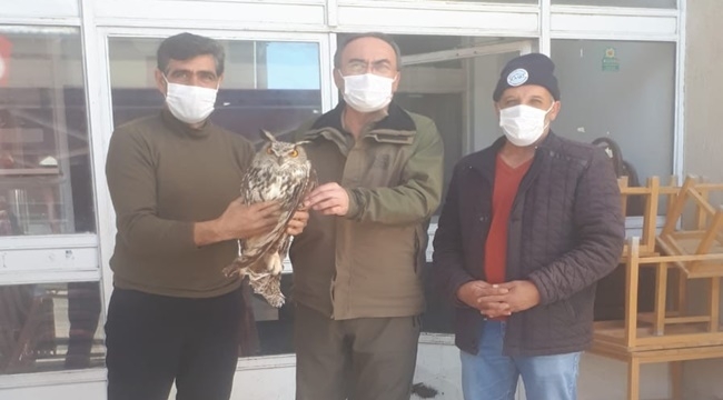 YARALI PUHU KUŞU EKİPLERE TESLİM EDİLDİ