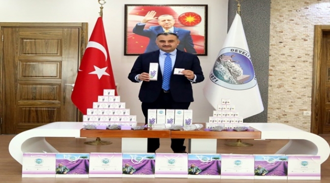 LAVANTA ÜRETİMİNDE İLK ÜRÜN ALINDI