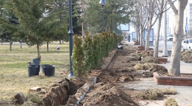 MELİKGAZİ'DEN 70 BİN AĞACA İLAVE GELDİ