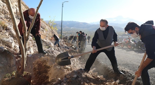 TALAS, ALİ DAĞINI AĞAÇLANDIRIYOR